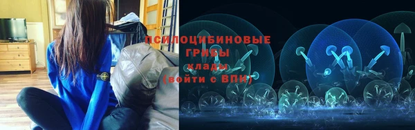 не бодяженный Алексин
